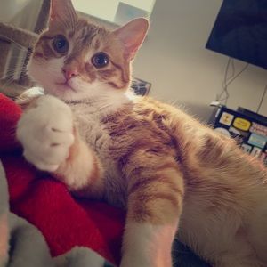 Meet your Posher, Melanie